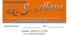 Détails : Ex-S-cellant - Nettoyage et Scellant pour Pavé-uni.