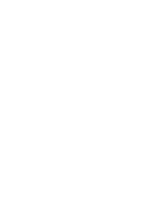 3236013 Canada Inc.