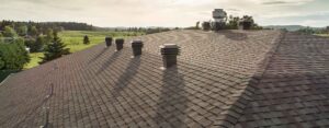 ALTITUDE ISOLATION INC