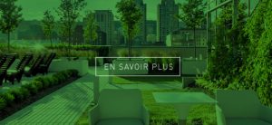 Arthier / Pavatech