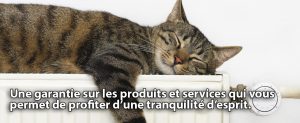 ASG électrique inc.