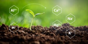 Biosol Environnement
