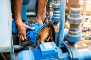 Claude Boutin - Services sanitaires