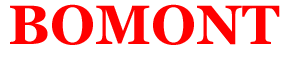 Construction Bo Mont Inc