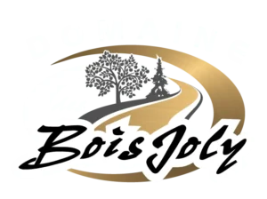 Construction Denis Joly & Fils inc.