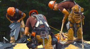 Construction Steeve Arbour inc.