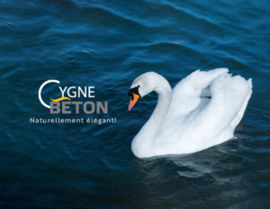 Cygne Construction / Cygne formation / La team entrepreneur général