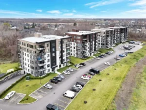 D1 immobilier