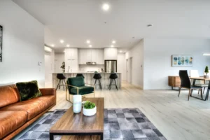 D1 immobilier