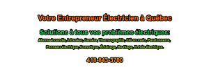 DENIS POULIN INC.