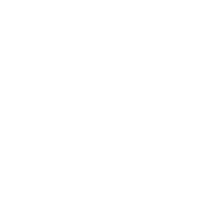 Destination Owl's Head