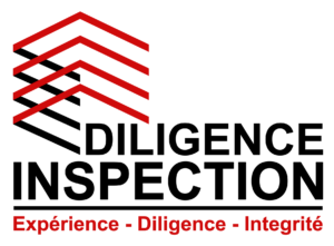 Diligence Inspection/Michel Khalil