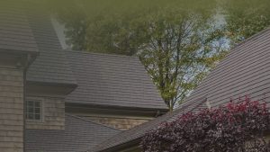 ECO Construction Inc.