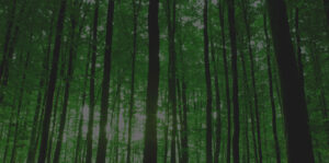 Enviro-Urgence inc.