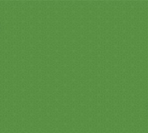 Envirolest Inc.