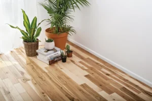 FlorDeco Québec