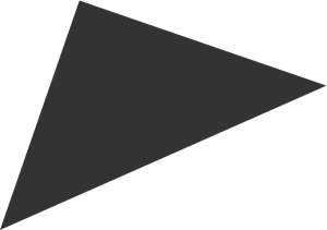 Groupe Lasselle Construction & Développement Immobilier inc.