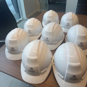 Groupe Venise Inc.