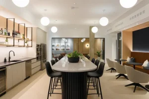 Hochelaga Construction inc.