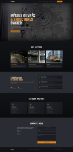 ID Plex Inc