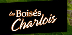 J.M. Brouillette inc.