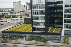 La ligne verte: Toit Vert Inc.