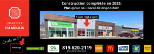 Laroche Immobilier Inc.
