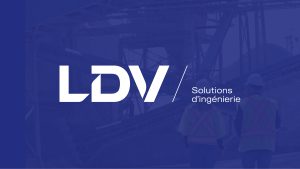 LDV Solutions Inc