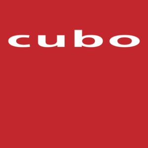 Le Groupe Cubo 2008 inc.