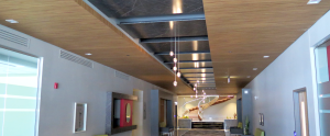 Lynx Mobilier Architectural