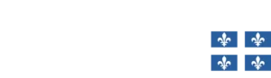 Némésis Construction inc.