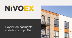 Nivoex Inc