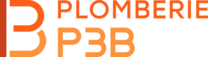 P3B