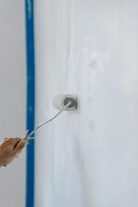 Peinture Avalex