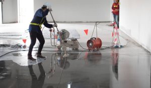 Peinture T.A.G. Inc.