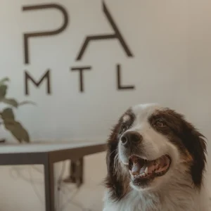 Projet Acier Montréal inc.