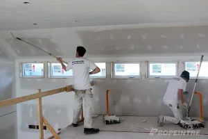 ProPeintre.com