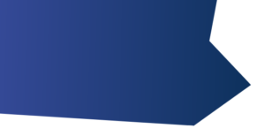 Rémi Bouchard inc.