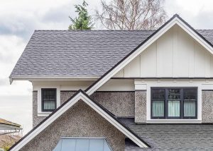 RENOVATEUR ELITE