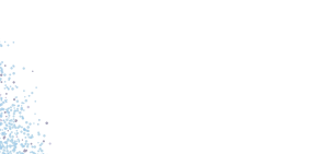 Réseau LAM inc.