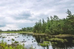 S.E.P. Environnement (Services et Expertises Pétrolières)