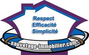 Sauvetage immobilier inc.
