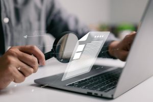 SERVICE INFORMATIQUE D.L .INC.