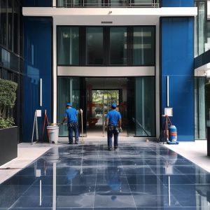 Services D'Entretien Nicoval (Les)