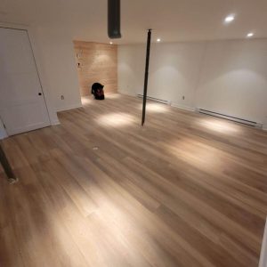 SIBO RÉNOVATION