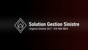 Solution Gestion Sinistre inc.