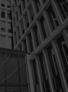 SOLUTION OPNEX INC.