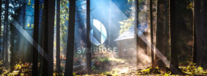 Symbiose Construction Inc.