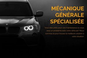Systèmes Électriques Nordiques Ltée
