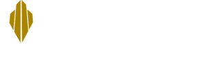 Vuze Construction Inc.